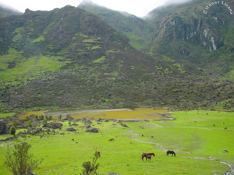 Laguna Ranraqucha