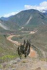 Cactus, rio Apurimac en la zona de Chapi