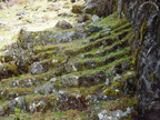 Escalinatas en camino Inka, por Ranraqucha