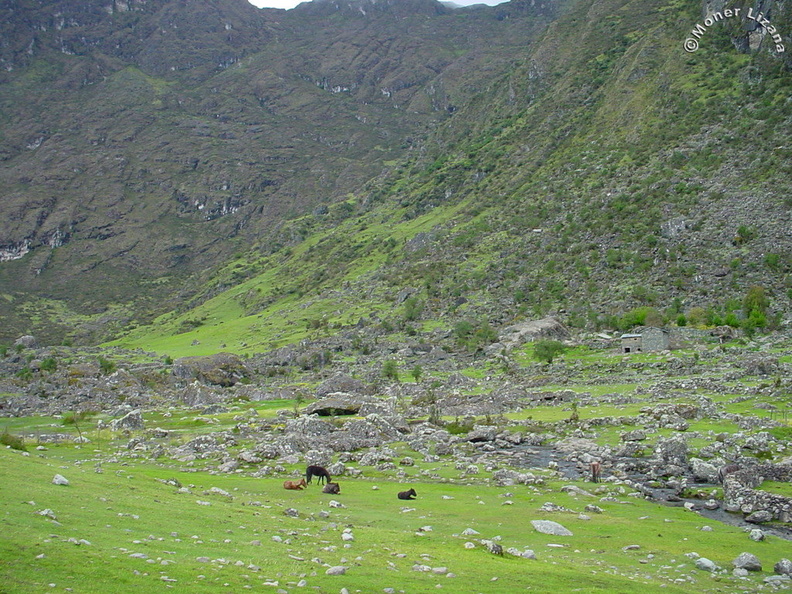 Bosque de piedras de Totoraqucha
