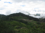Huallhua ((distrito de Anco)