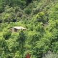 Casa tipica de la selva